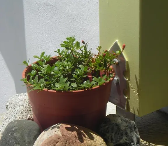 Anemologio 2* Agios Ioannis (Tinos)